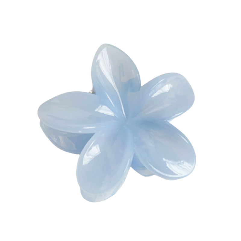 Claw Clip – Sky Blossom 6 PCS