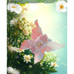Claw Clip – Sunset Butterfly 6 PCS