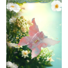 Claw Clip – Sunset Butterfly 6 PCS