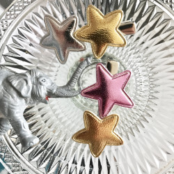 SHINY STAR HAARSPANGEN – 6’ER PACK